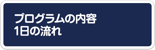 プログラムの内容・一日の流れ